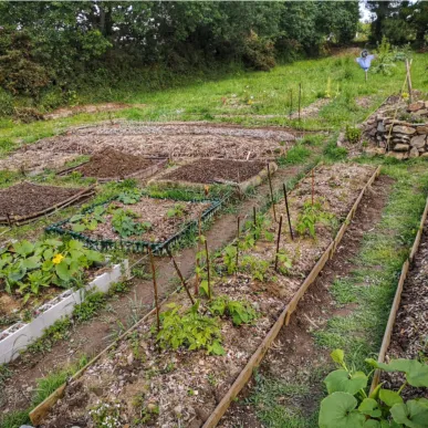 Jardin Partagé de Lanmeur "Le jardin des Papillons"